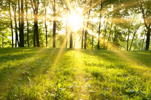 گیلان فردا داغ‌تر از امروز / افزایش ۴ درجه‌ای دما