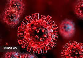 کرونا در کرمان ۲۲ خانواده را داغدار کرد کرونا در کرمان ۲۲ خانواده را داغدار کرد