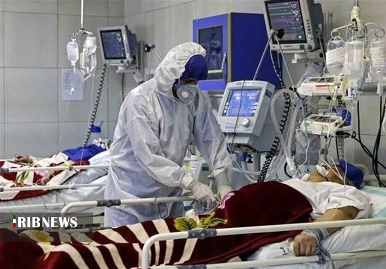 جان باختن ۷ نفر در گلستان بر اثر ابتلا به قارچ سیاه جان باختن ۷ نفر در گلستان بر اثر ابتلا به قارچ سیاه