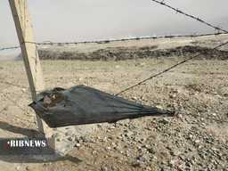 جلوگاه تخریب طبیعت و تهدید سلامتی مردم جلوگاه تخریب طبیعت و تهدید سلامتی مردم