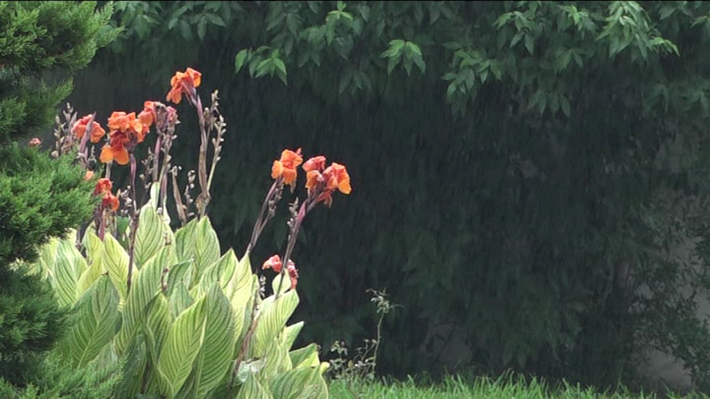 بازگشت دوباره هوای بارانی به گیلان بازگشت دوباره هوای بارانی به گیلان