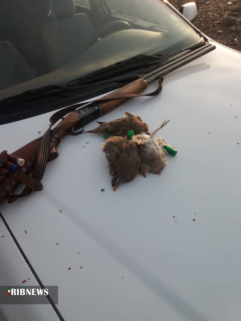 متخلفان شکارپرندگان رابُر وکهنوج در کمند فانون