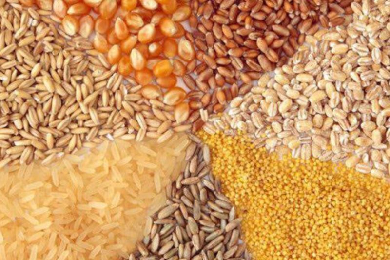 توزیع نهادهی دامی در گتوند توزیع نهادهی دامی در گتوند