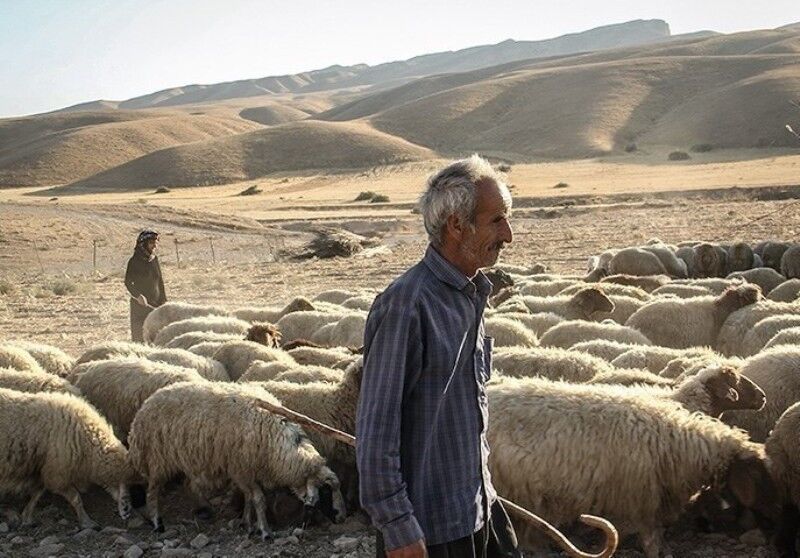 پرداخت ۵۳ میلیارد تومان تسهیلات به عشایر خراسان جنوبی