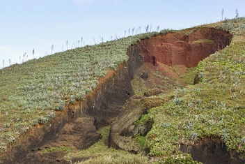 خاک ؛ ثروتی که فرسایش ، به یغما می بَرد