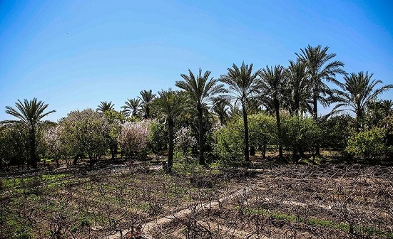 خاک ؛ ثروتی که فرسایش آن را به یغما می بَرد