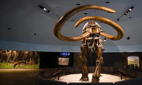 بازگشت ماموت‌های قبل از تاریخ!