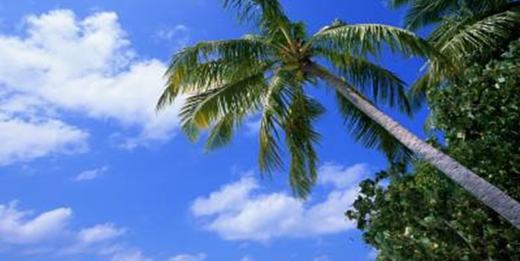 کاهش دما از فردا در خوزستان