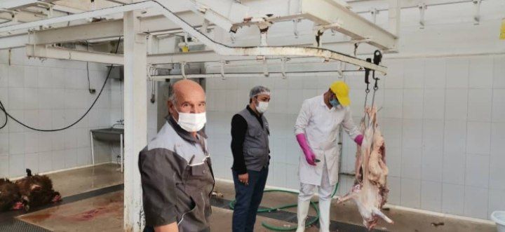 نظارت بر کشتار بیش از 62 هزار رأس دام در طرقبه و شاندیز