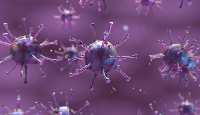 پاسخ به یک شایعه؛ آیا کرونا علت بروز قارچ سیاه است؟ پاسخ به یک شایعه؛ آیا کرونا علت بروز قارچ سیاه است؟