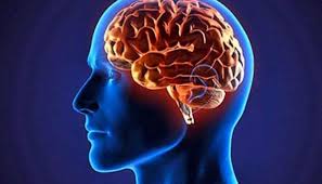 از آلزایمر چه می دانید ؟