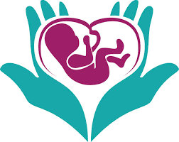 استفاده از بلاستوسیست در درمان نازایی در مرکز درمان ناباروری اردبیل