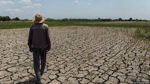 آب را گل نکنیم آب را گل نکنیم