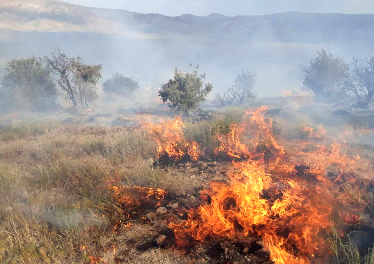 حریق در مرتع کجین دشت دامغان حریق در مرتع کجین دشت دامغان