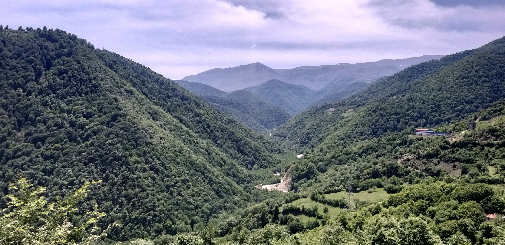 رطوبت ۷۰ درصدی هوای گیلان