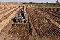 تسریع در آماده سازی اراضی برای کشت پاییزه کلزا تسریع در آماده سازی اراضی برای کشت پاییزه کلزا