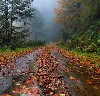 هوای خنک و بارشی میهمان نخستین روز‌های پاییز گیلان