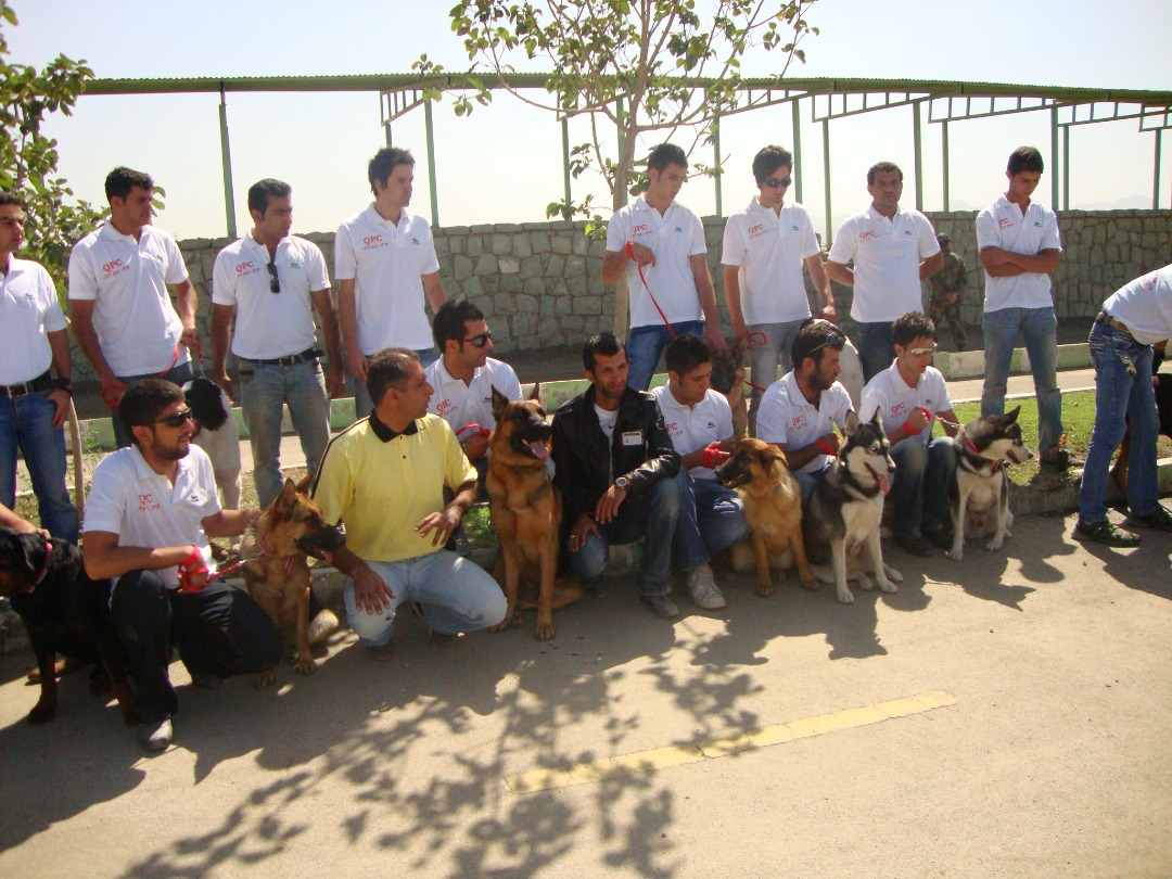 سلب آرامش شهروندان با سگ دوستی، پرورش سگ شغلی پردرآمد سلب آرامش شهروندان با سگ دوستی، پرورش سگ شغلی پردرآمد