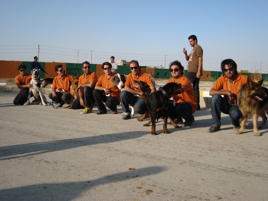 سلب آرامش شهروندان با سگ دوستی، پرورش سگ شغلی پردرآمد سلب آرامش شهروندان با سگ دوستی، پرورش سگ شغلی پردرآمد