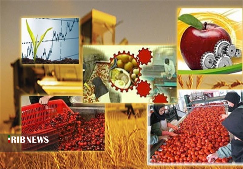 بهره برداری از ۱۴ واحد صنایع تبدیلی امسال در استان همدان