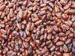 عرضه خرمای استعمران از هفته آینده در بازار خوزستان