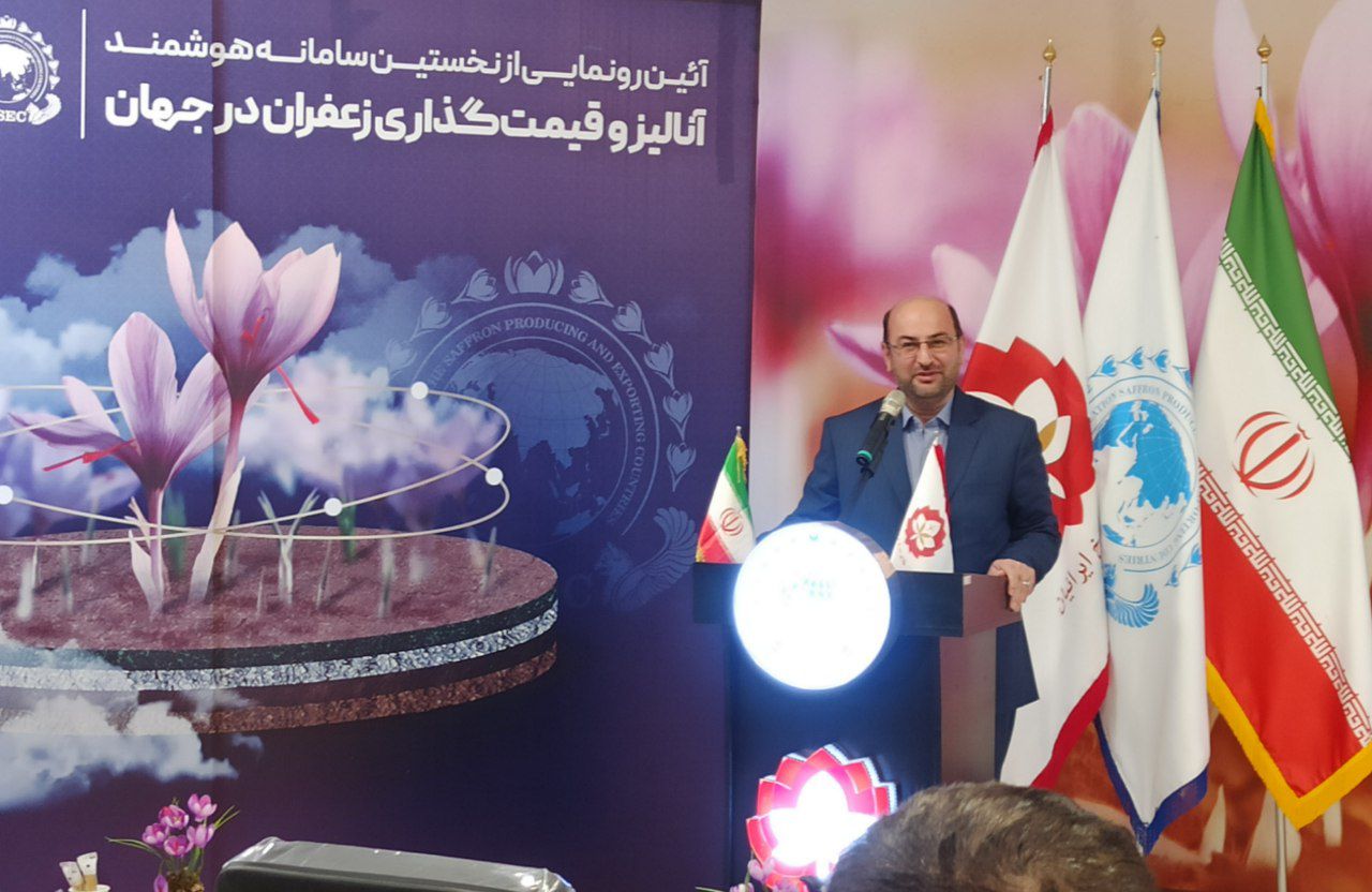 تاکید بر لزوم راه اندازی زنجیره تولید و ارزش افزوده زعفران در تربت حیدریه