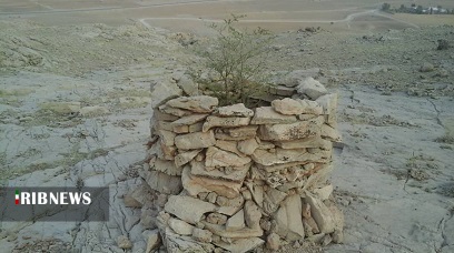 جنگل های بلوط خوزستان در چنگال آفات + فیلم جنگل های بلوط خوزستان در چنگال آفات + فیلم