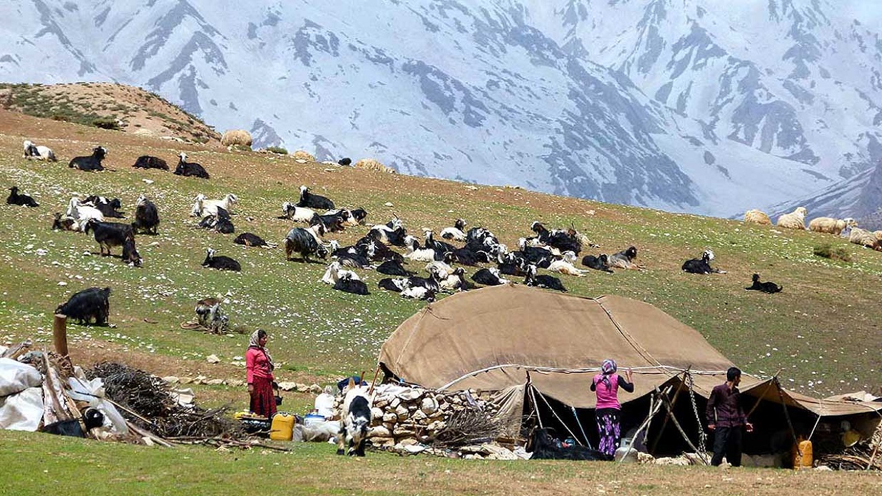 خروج ۸۰ درصد عشایر از مراتع چهارمحال و بختیاری