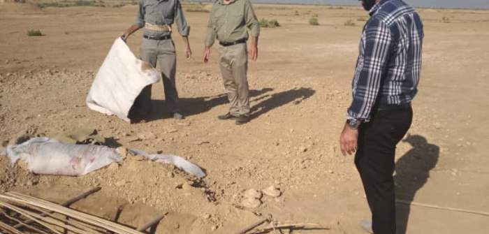 تخریب دو باب کوخه زنده گیری پرندگان شکاری در باوی تخریب دو باب کوخه زنده گیری پرندگان شکاری در باوی