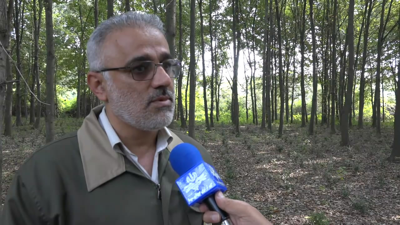 کلوده، مهمترین مرکز تولید بذر جنگلی در کشور کلوده، مهمترین مرکز تولید بذر جنگلی در کشور