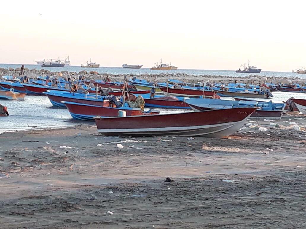 از وزش باد شدید تا کاهش دما در بوشهر از وزش باد شدید تا کاهش دما در بوشهر