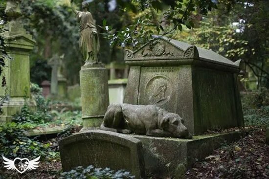 ۱۰ قبرستان ترسناک و عجیب و غریب! ۱۰ قبرستان ترسناک و عجیب و غریب!