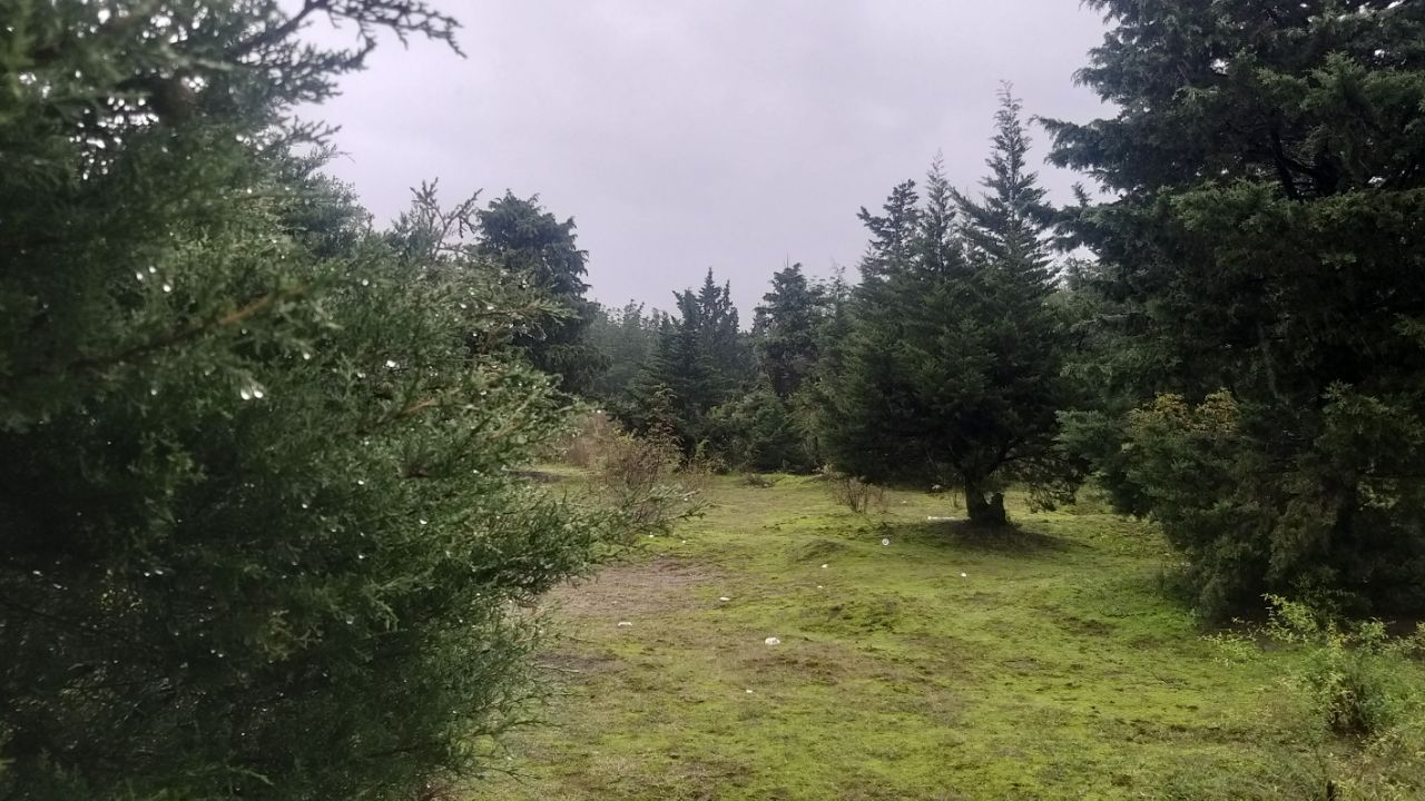 افزایش تدریجی دمای هوا در گیلان