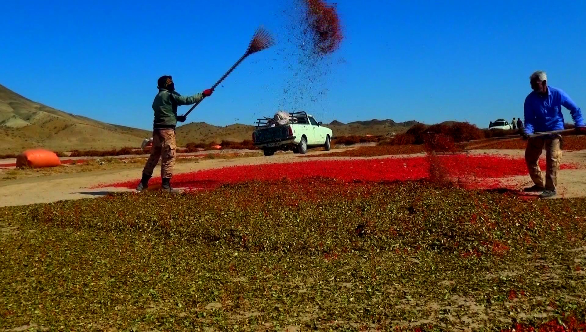 تاراج ثروتی عظیم