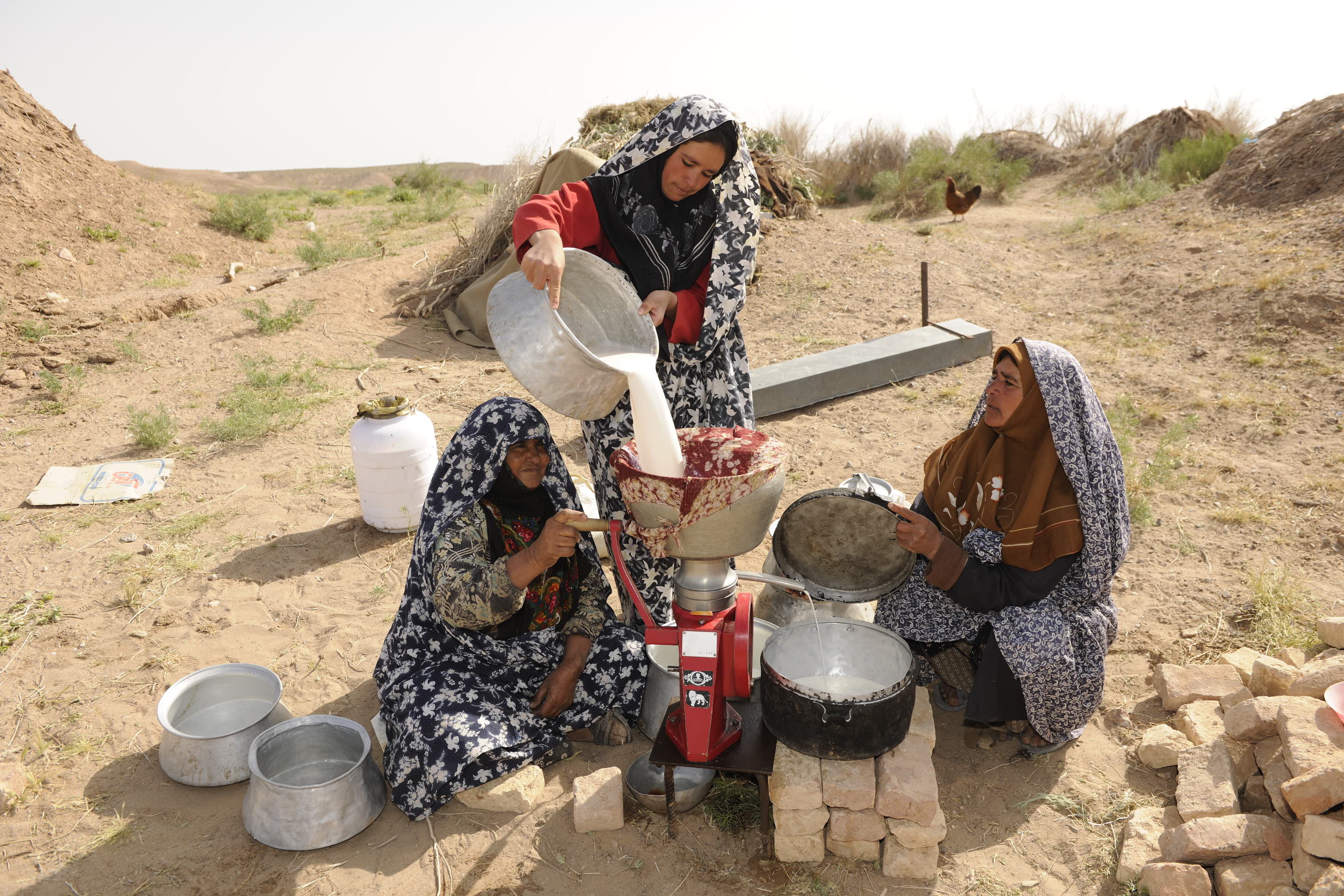 افزایش ۲.۵ برابری پرداخت تسهیلات به عشایر خراسان جنوبی