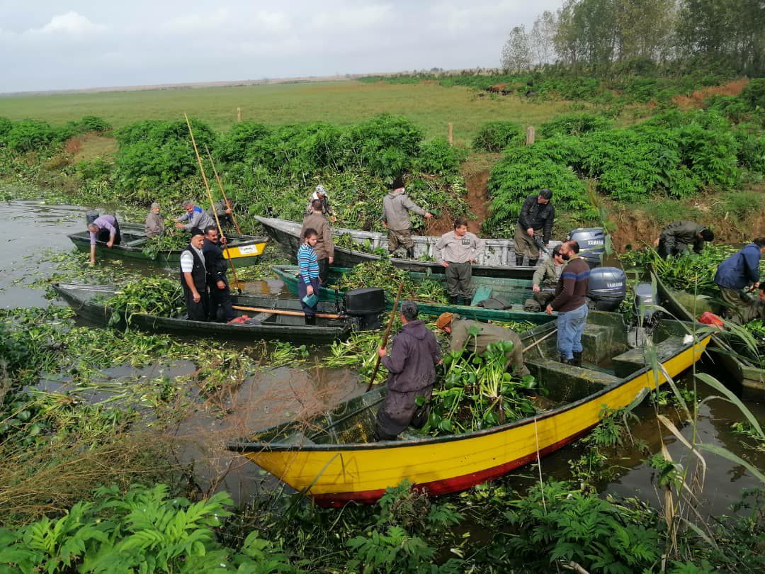 پاکسازی تالاب صومعه‌سرا
