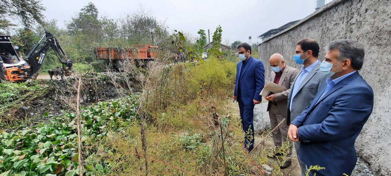 جمع آوری سنبل آبی ؛ هیولای خوش خط و خال در سیاهکل