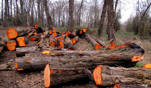 نفس زمین با تغییرات اقلیمی تنگ‌تر می‌شود