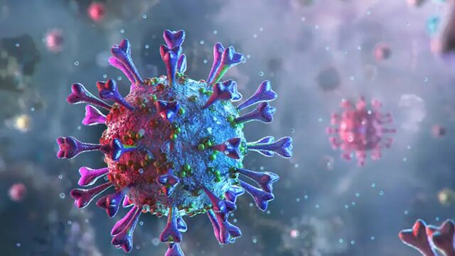 شناسایی ۸۰ نفر بیمار جدید کرونایی در ایلام شناسایی ۸۰ نفر بیمار جدید کرونایی در ایلام