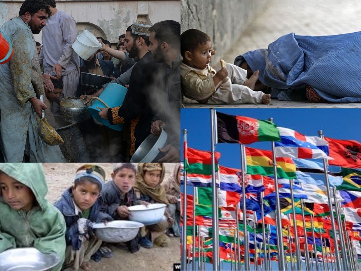 افغانستان و مسئولیت جامعه جهانی افغانستان و مسئولیت جامعه جهانی