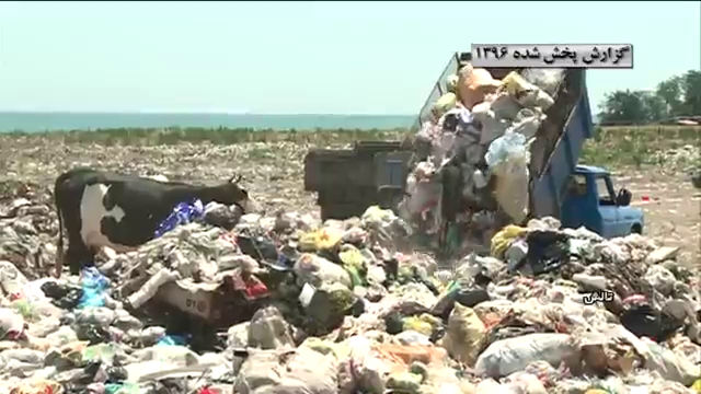 ویدئو / سرطان زباله ، بلای جان طبیعت منحصر به فرد گیلان