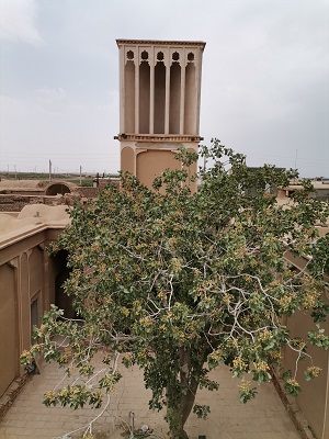 اتمام آخرین فصل مرمت خانه عباس رمضانی سه قلعه اتمام آخرین فصل مرمت خانه عباس رمضانی سه قلعه