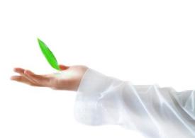 زیبایی به قیمت جان + فیلم