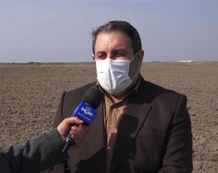 خودکفایی با جهش تولید دیمزار ها خودکفایی با جهش تولید دیمزار ها