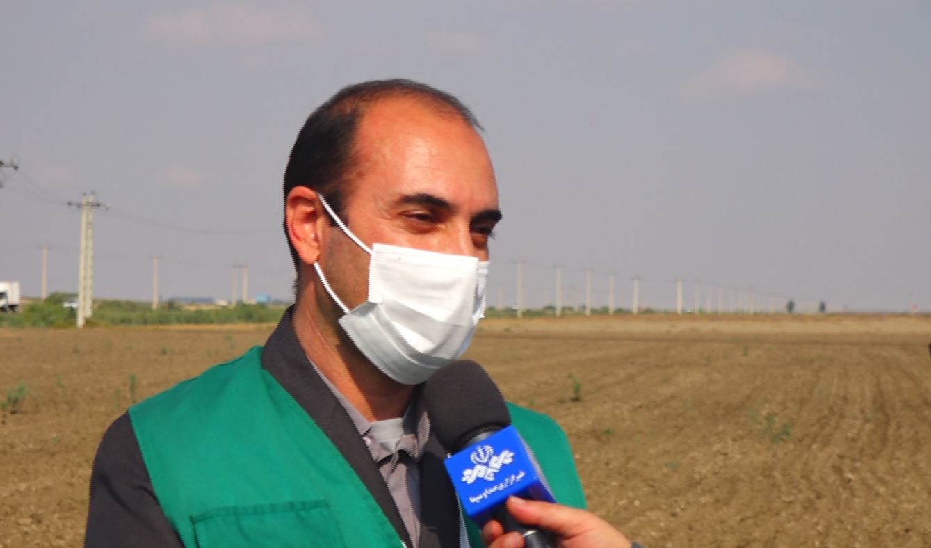 خودکفایی با جهش تولید دیمزار ها خودکفایی با جهش تولید دیمزار ها