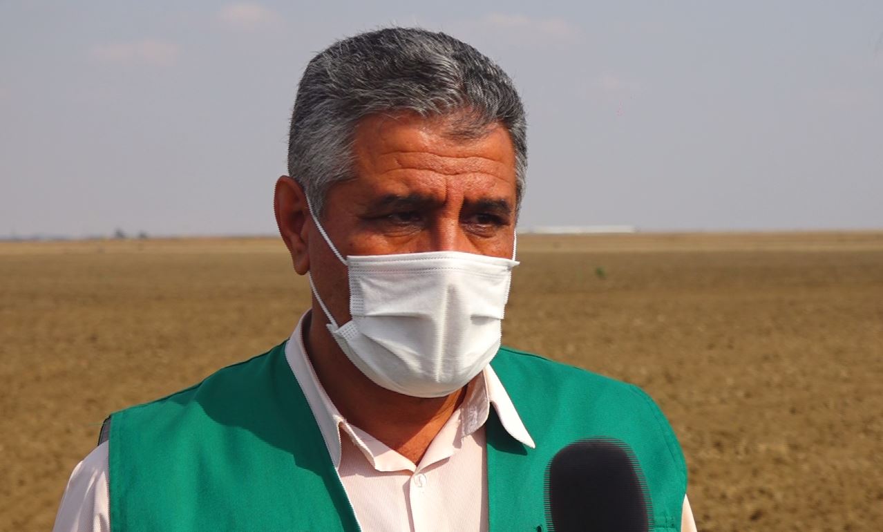 خودکفایی با جهش تولید دیمزار ها خودکفایی با جهش تولید دیمزار ها