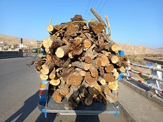 کشف ۲ تن چوب قاچاق در کمیجان کشف ۲ تن چوب قاچاق در کمیجان