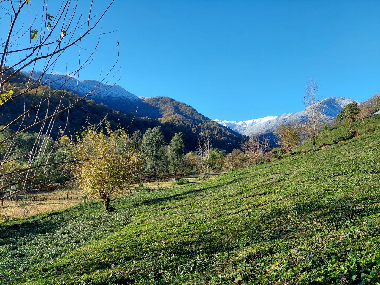 کشیده شدن پای آفتاب پاییزی تا اواسط هفته در گیلان