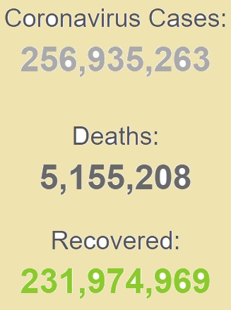 شناسایی بیش از ۲۵۶ میلیون بیمار کرونایی در جهان