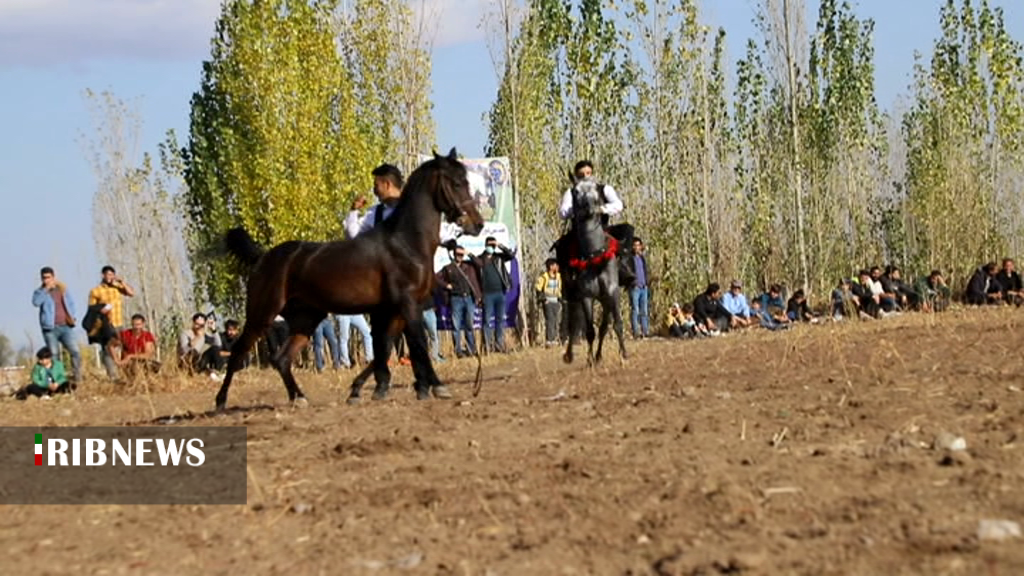 هشتمین جشنواره سوارکاری در اردبیل